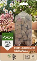 Pokon Bio Terras & Balkon Planten Voedingskegels 15st