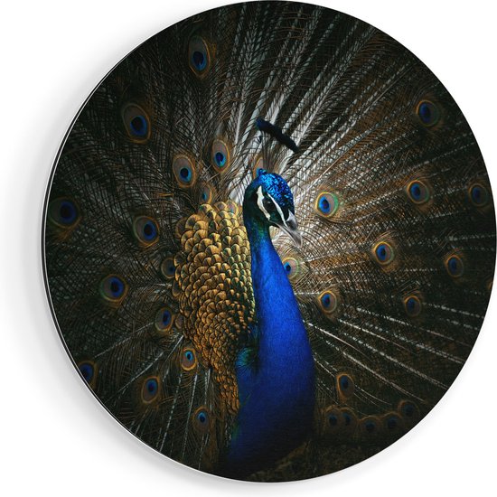 Cercle Mural Artaza Dibond - Paon Bleu à Grosses Ressorts - Ø 60 cm - Cercle Mural - Tableau Rond - Pour Intérieur et Extérieur