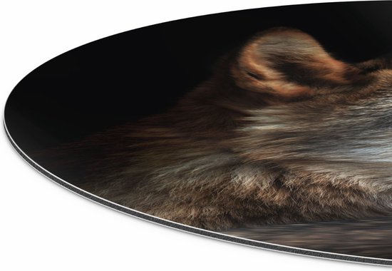 Cercle Mural Artaza Dibond - Tête De Loup Avec Un Rayon De Soleil - Loup - Ø 70 cm - Cercle Mural - Tableau Rond - Pour Intérieur et Extérieur