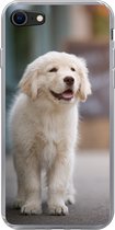 Geschikt voor iPhone 7 hoesje - Een Golden Retriever puppy lopend op de stoep - Siliconen Telefoonhoesje
