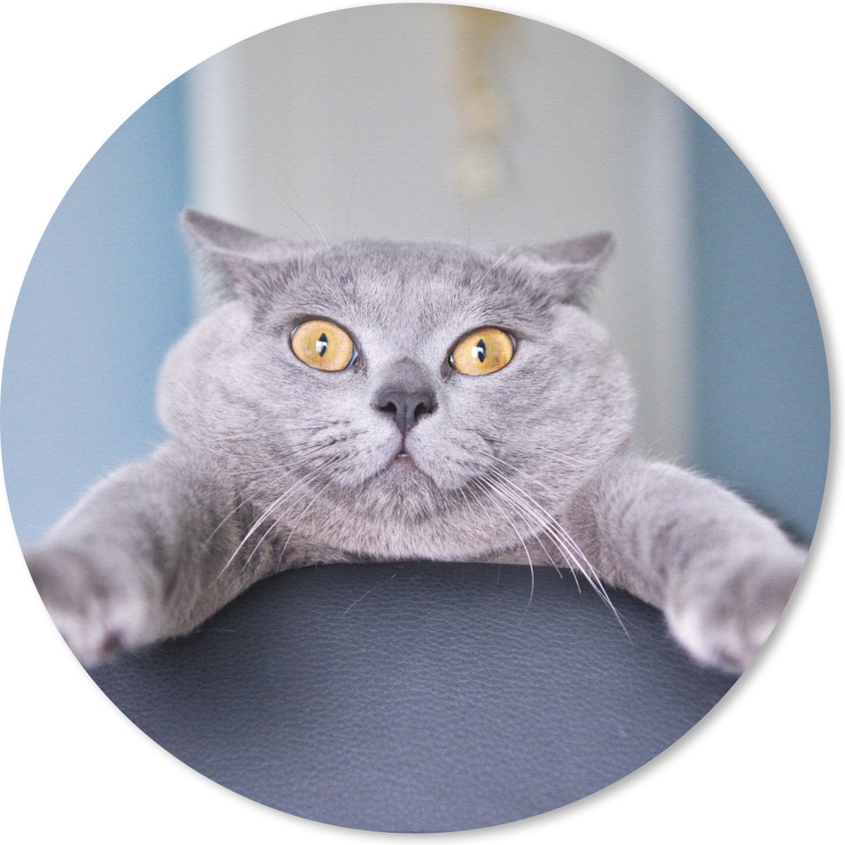 Muismat rond 40x40 cm - Mousepad Kat - Bang - Stoel - Ronde muismatten