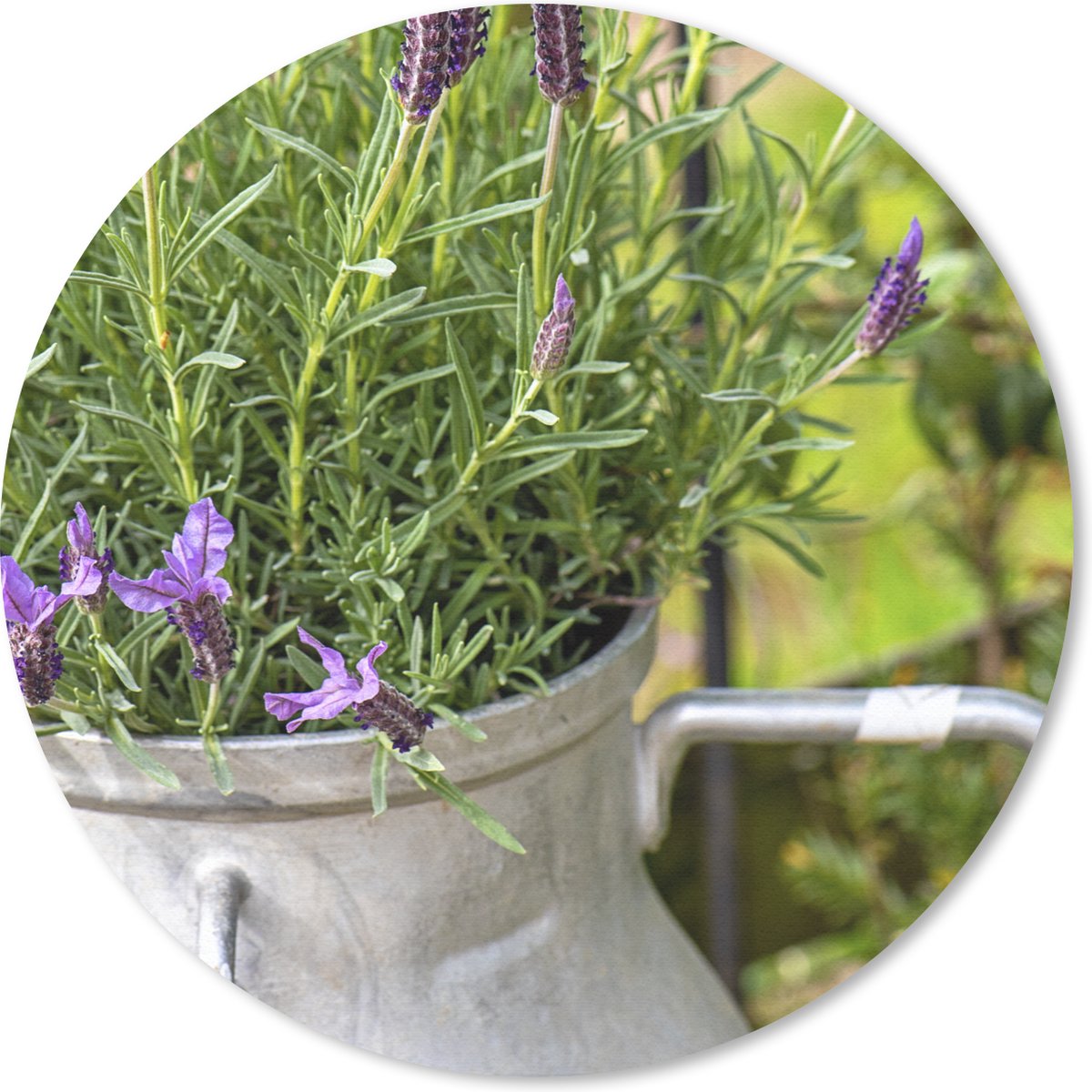 Muismat rond 30x30 cm - Mousepad Lavendel in melkbus - Ronde muismatten