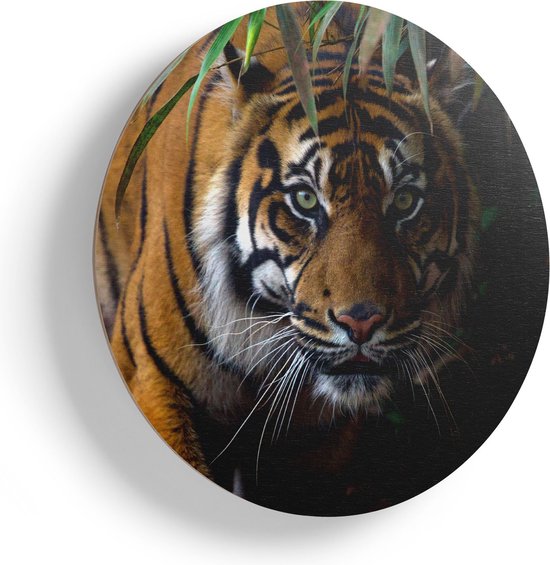 Artaza Houten Muurcirkel - Tijger In De Jungle - Ø 80 cm - Groot - Multiplex Wandcirkel - Rond Schilderij