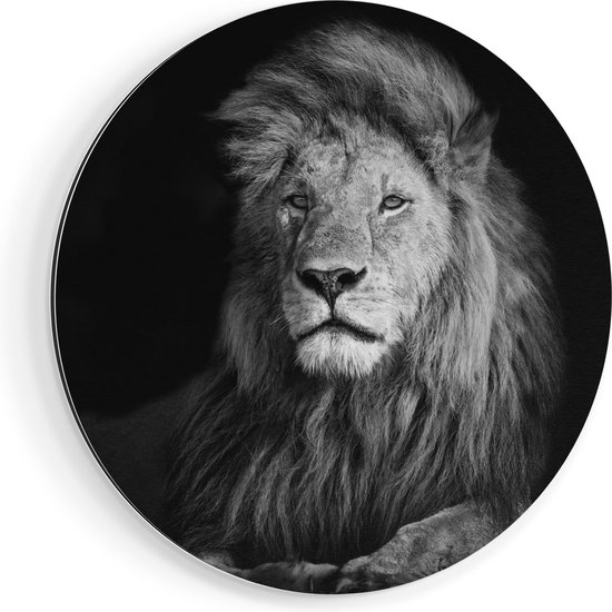 Artaza Dibond Wall Circle Lion - Tête de Lion - Ø 50 cm - Klein - Wall Circle - Tableau Rond - Pour Intérieur et Extérieur