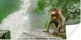 Poster Schreeuwende aap voor waterval - 160x80 cm