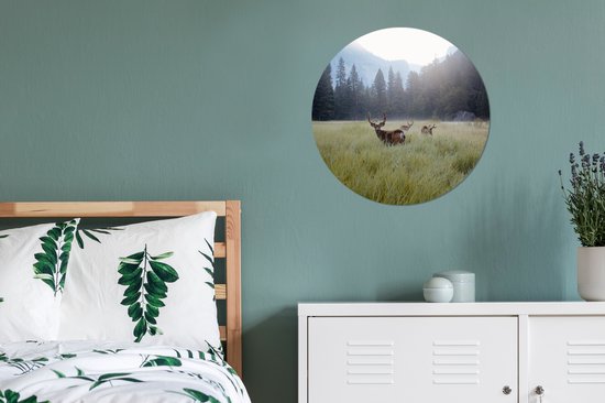 WallCircle - Muurstickers - Behangcirkel - Bos - Herten - Mist - 50x50 cm - Muurcirkel - Zelfklevend - Ronde Behangsticker