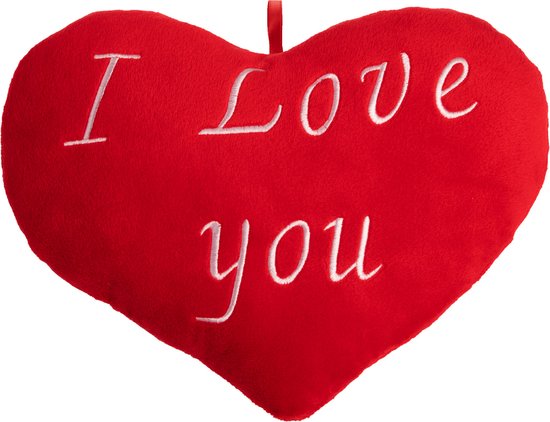 Ik heb het erkend Zeldzaamheid telescoop Valentijn Kussen Hart – I Love You – 26cm | bol.com