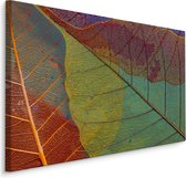 Schilderij - Kleurrijke bladeren in herfstkleuren, premium print