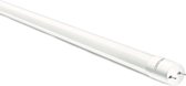 Century FVT8M-181265