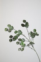 Kunstbloem - set van 2  - Eucalyptus - decoratieve tak -  69 cm - groen