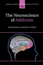 Cambridge Fundamentals of Neuroscience in Psychology - The Neuroscience of Addiction