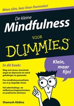 Voor Dummies - De kleine Mindfulness voor dummies