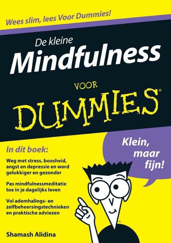 De kleine mindfulness voor dummies