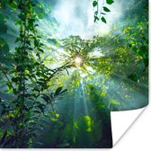 Poster De zon schijnend door de bossen van een regenwoud in Maleisië - 75x75 cm