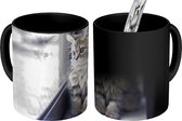 Magische Mok - Foto op Warmte Mok - Een Perzische kitten kijkt uit het raam - 350 ML