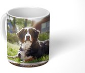 Mok - Zonnestralen langs de Berner Sennenhond - 350 ML - Beker