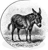 Une illustration d'un chevalet Cercle mural aluminium ⌀ 30 cm - impression photo sur cercle mural / cercle vivant / cercle de jardin (décoration murale)