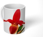 Mok - Rode orchidee - 350 ML - Beker