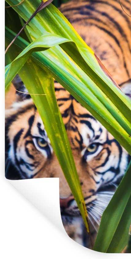 Home Decoratie Stickers Gebruiken De Kracht Grappi... – Vicedeal