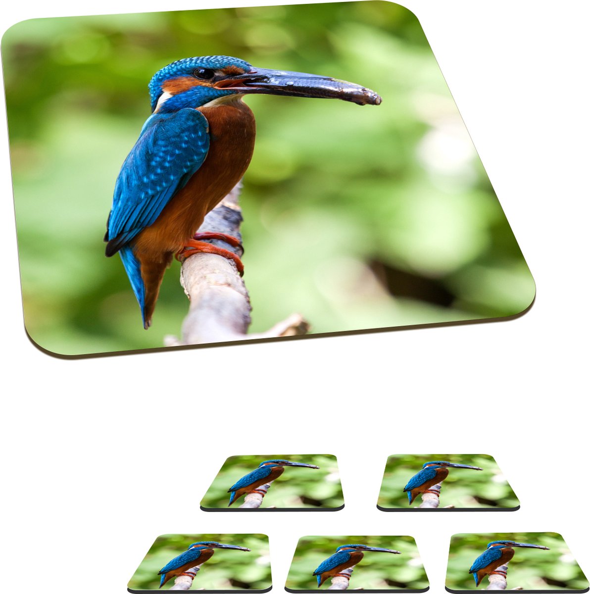 Onderzetters voor glazen - IJsvogel - Vis - Boom - 10x10 cm - Glasonderzetters - 6 stuks