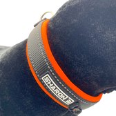 Halsband hond Met gesp - Reflecterend - Oranje - Maat S - Neopreen