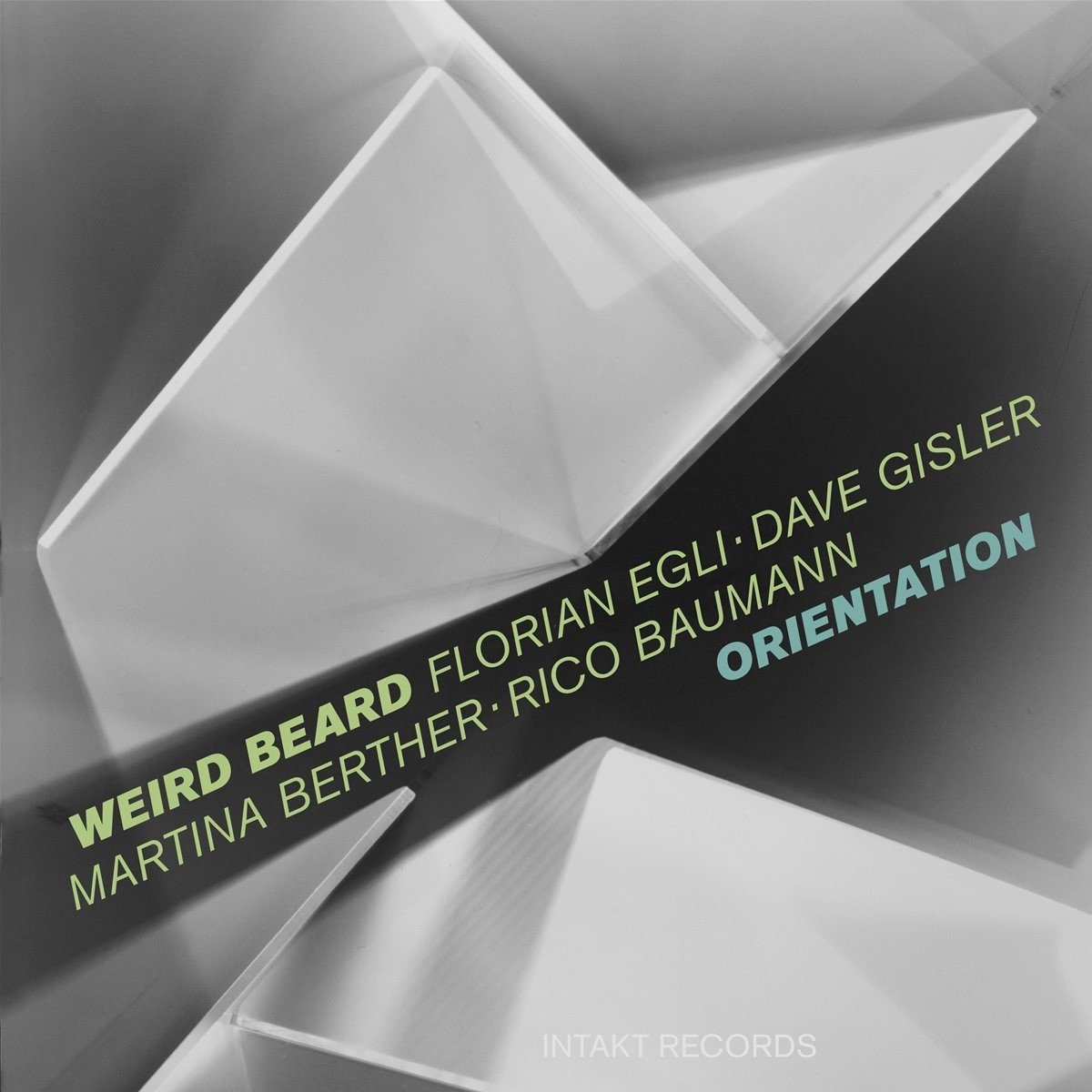 Florian Egli, Weird Beard, Dave Gisler, Martina Berther, Rico Baumann - Orientation (CD)