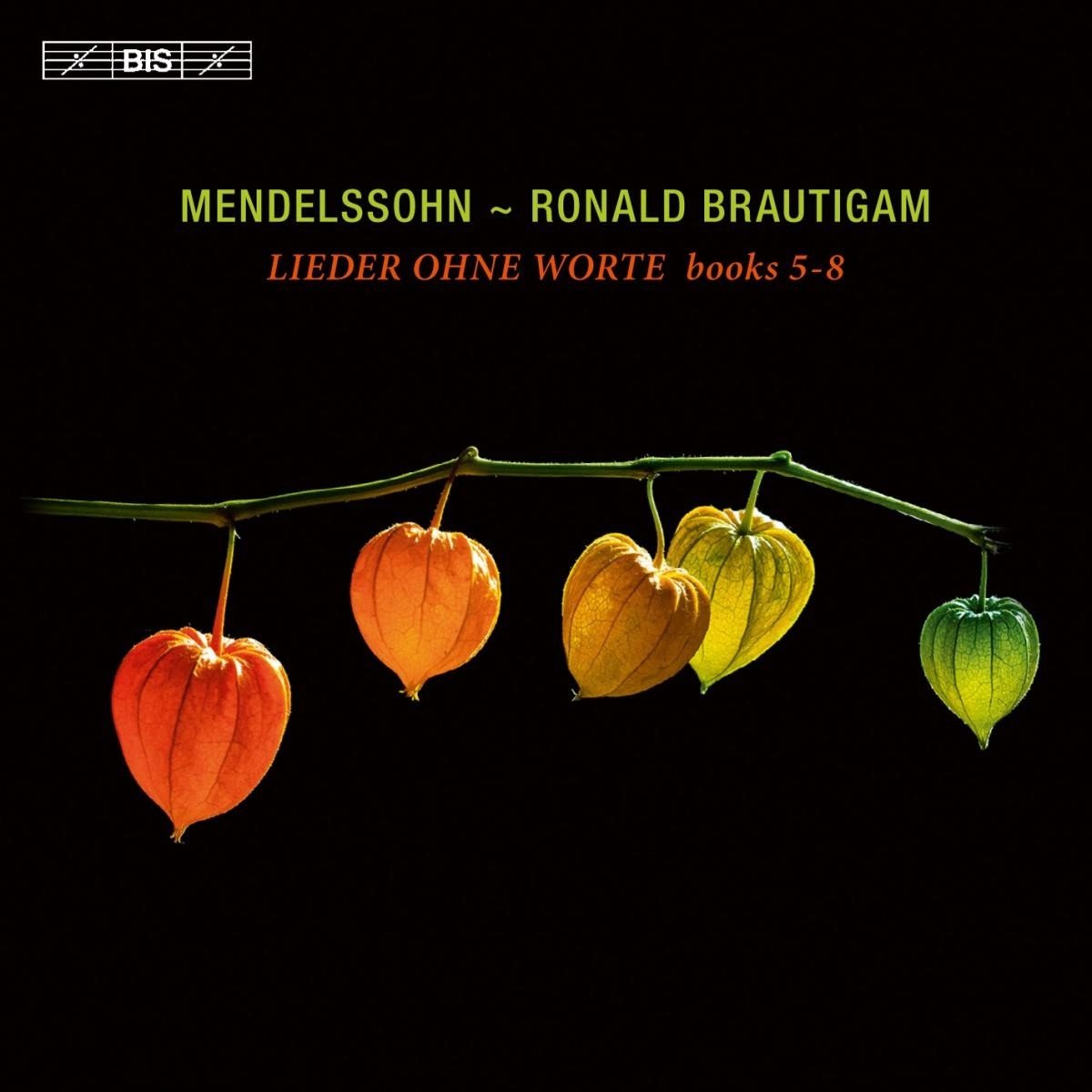 Ronald Brautigam - Mendelssohn: Lieder Ohne Worte, Books 5-8, Vol. 2 (SACD)
