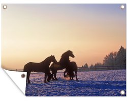 Muurdecoratie buiten Friese paarden in de winter - 160x120 cm - Tuindoek