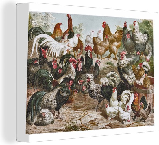 Tableau sur toile dessin de coqs et poules dans une course - 80x60 cm - Décoration murale Art