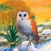 Crystal Card® Winter Owl (18x18cm)