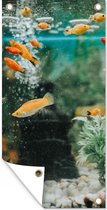 Tuinposter Kleine visjes in een aquarium - 40x80 cm - Wanddecoratie Buiten - Tuinposter - Tuindoek - Schuttingposter - Tuinschilderij
