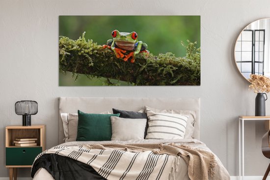 Peinture sur toile Grenouille aux yeux rouges sur une branche couverte - 160x80 cm - Décoration murale