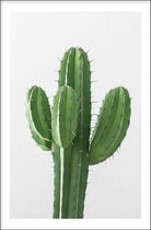 Walljar - Cactus - Muurdecoratie - Canvas schilderij