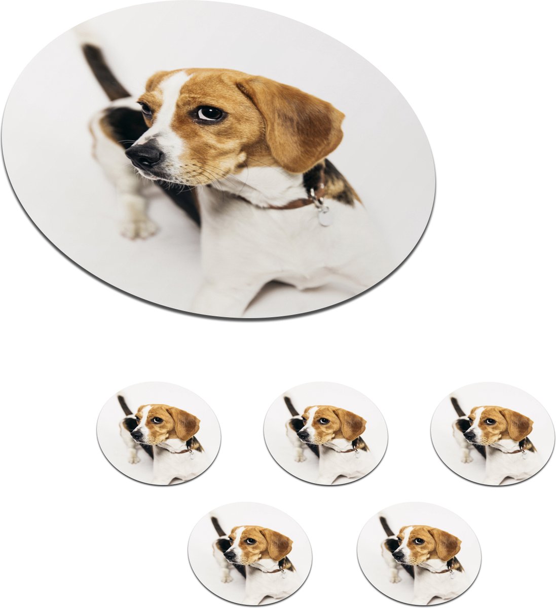 Onderzetters voor glazen - Rond - Pup - Beagle - Bruin - 10x10 cm - Glasonderzetters - 6 stuks