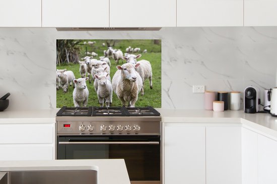 Spatscherm Keuken - 100% Maatwerk