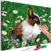 Doe-het-zelf op canvas schilderen - Rabbit in the Meadow.