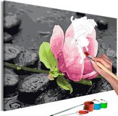 Doe-het-zelf op canvas schilderen - Pink Flower and Stones.