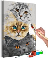 Doe-het-zelf op canvas schilderen - Cat's Trio.