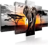 Schilderij - Elephant at Sunset.
