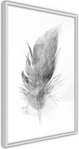 Lost Feather (Grey).