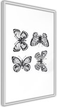 Butterfly Collection III