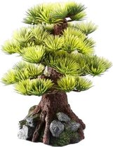 Aqua della bonsai medio 15 cm