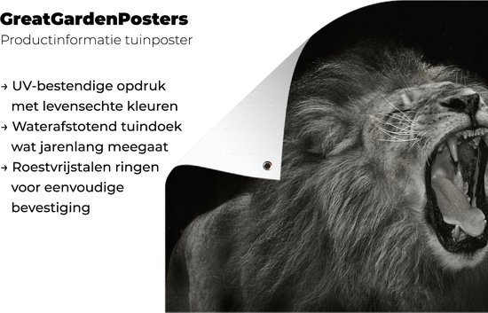 Décoration de Jardin Lion - Gibier - Chasse - 40x30 cm - Toile de jardin