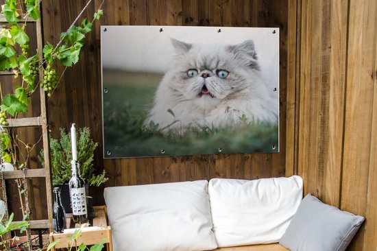 Tuinposter 120x90 cm - Tuindecoratie Grijze Perzische kat met lichtblauwe ogen - Poster voor in de tuin - Buiten decoratie - Schutting tuinschilderij - Tuindoek muurdecoratie - Wanddecoratie balkondoek
