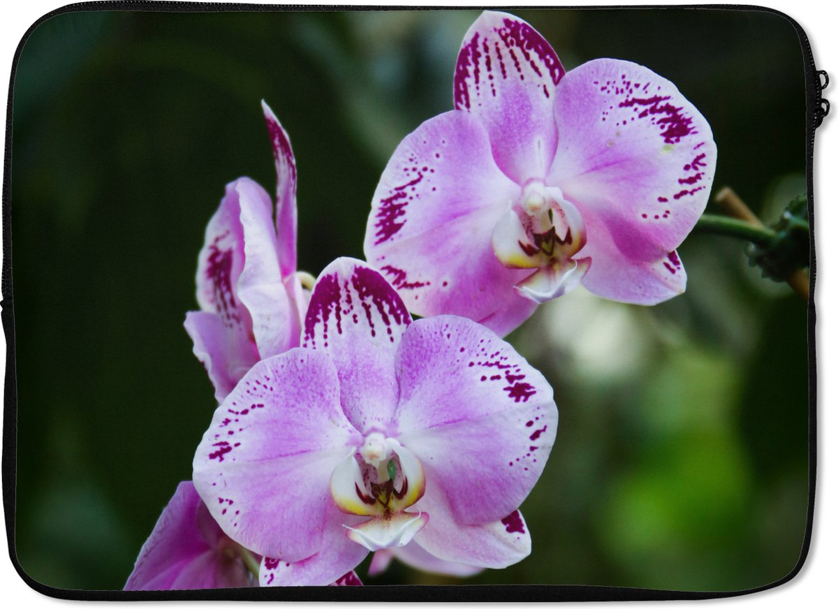 Laptophoes 14 inch - Orchideeën in bloei - Laptop sleeve - Binnenmaat 33x23 cm - Zwarte achterkant