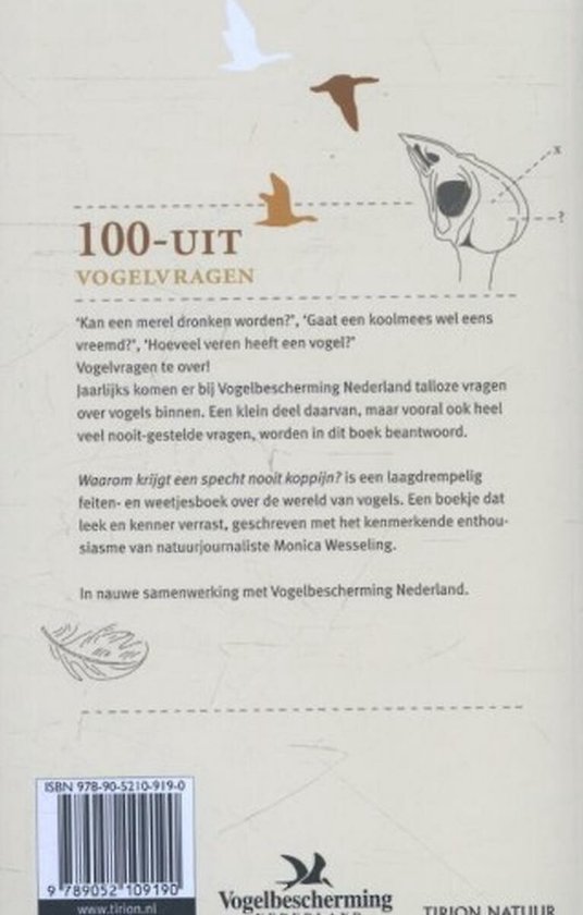 Waarom krijgt een specht geen koppijn