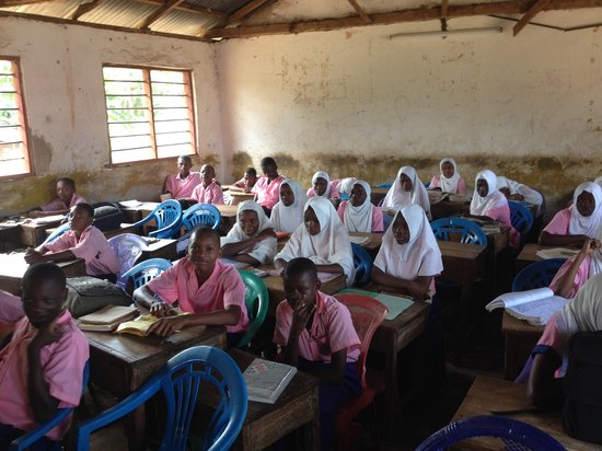 Keti Utulie Meditatiebankje inklapbaar | Help een kind naar school | hoogte 18 cm geschikt voor lengte 165-175 cm | vurenhout, diverse hoogtes leverbaar van Keti Utulie — afbeelding 4