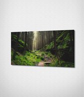 Dark Forest Canvas- 100 x 60 cm - Landschap - Schilderij - Canvas - Slaapkamer - Wanddecoratie  - Slaapkamer - Foto op canvas