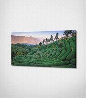 Taiwan Mountains Canvas- 100 x 60 cm