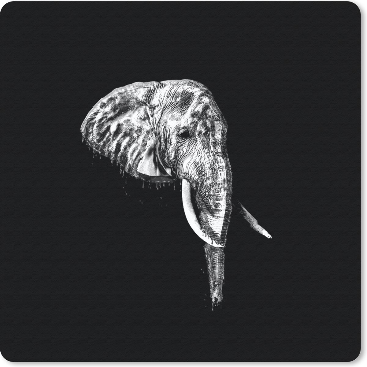 Muismat 30x30 cm - Mousepad Olifant - Tanden - Zwart - Wit - Muismatten